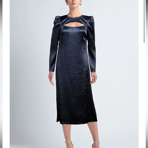 Baum und Pferdgarten | Aneto Crinkle Satin Cutout Long Sleeve Dress | Size 10 - Picture 9 of 12